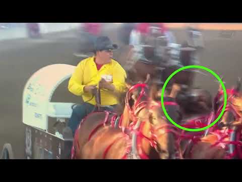 2022 Calgary Stampede Chuckwagon Horse Death