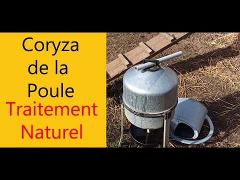 , title : 'Coryza de la Poule, Traitement Naturel'