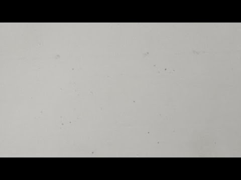 SdS Cinisello - Zeronobel