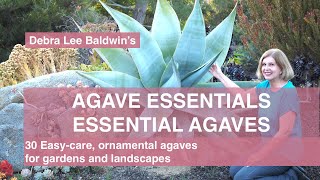 30 Easy-care, Ornamental Agaves for Gardens