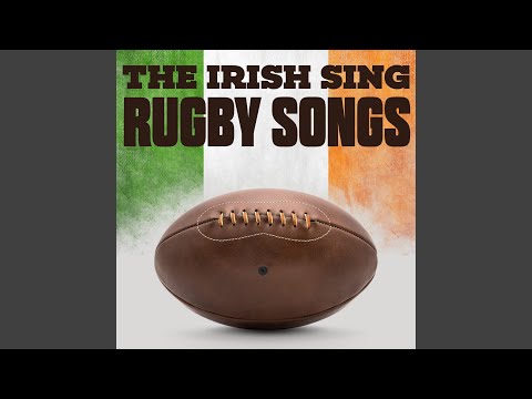 The Third West Cork Brigade