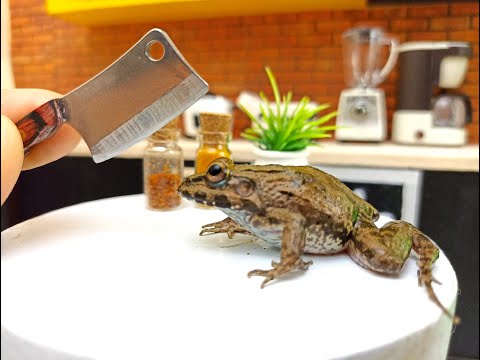 DIY Miniature Frog Soup Recipe | Delicious Miniature Frog Soup Tutorial | Tiny Cooking ASMR