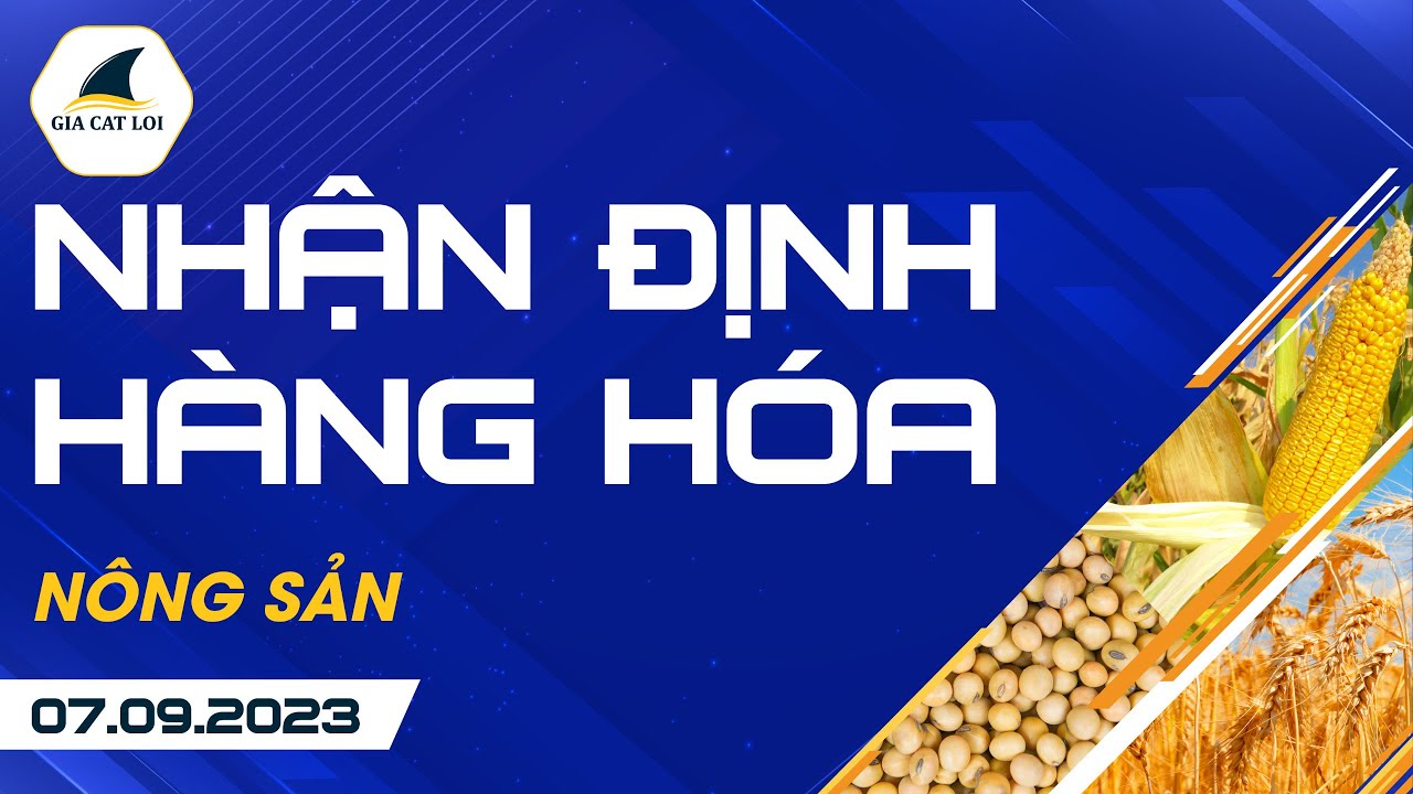 Nhận Định Hàng Hoá Nông Sản Ngày 07/09/2023