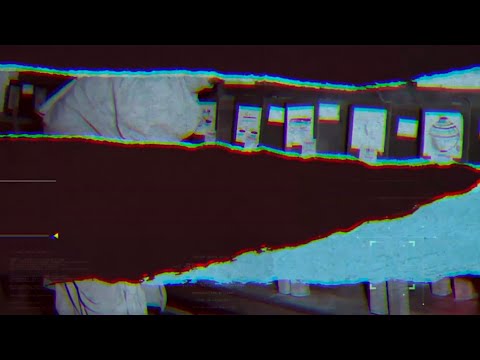 Documentary Style 3