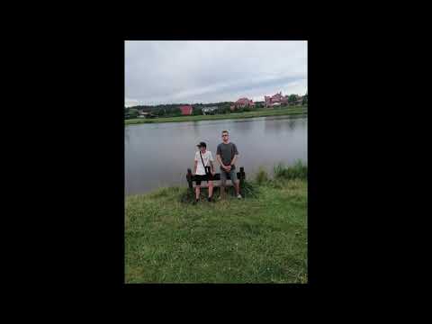 Zbieraj x Mishqe - Gargamoli