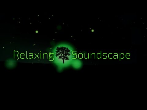 Screenshot of video: Soundscape App