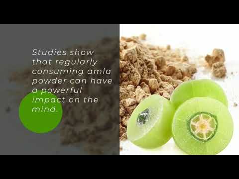 Amla Extract Powder