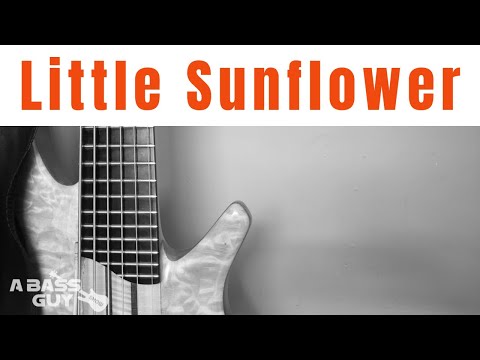 Little Sunflower - Jack Casey Bass Guitar - A Bass Guy Show