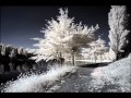 Fabienne Thibeault - Le Monde Est Stone 