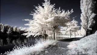 Fabienne Thibeault - Le Monde Est Stone