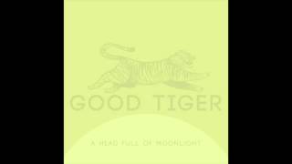Good Tiger - Understanding Silence
