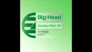 T3K-FREE035: Big-Head - 