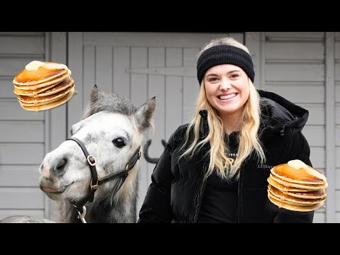 HOW TO MAKE PANCAKES FOR HORSES!