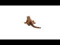 Schleich figūrėlė Iguana