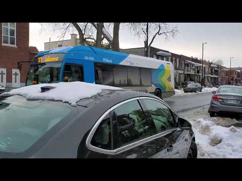 Walking between Jolicoeur Metro Station and Monk Station: A view of Ville-Emard and Côte-Saint-Paul