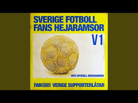 In Med Bollen I Mål