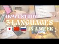 STUDYING 3 LANGUAGES AT A TIME IN 2024 🇯🇵🇨🇳🇷🇺