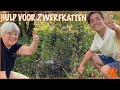 Floris gaat zwerfkatten redden | DierenpraatTV