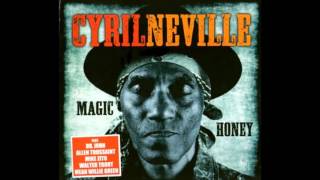 Swamp Funk  - Cyril Neville