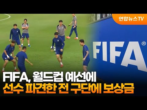 FIFA, 북중미월드컵 예선에 선수 파견한 전 구단에 보상금