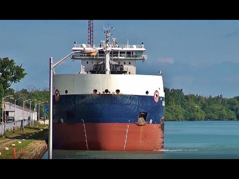 Ships ALGOMA CONVEYOR & FEDERAL CARIBOU meet above Lock 1,  Welland Canal (2022)