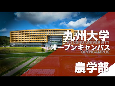 建築学科 2024年九州大学オープンキャンパス　「農学部」