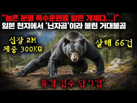 비디오 4