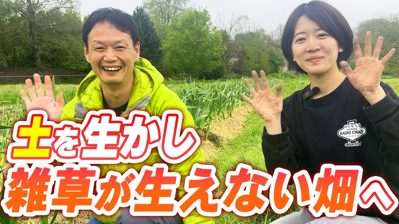 雑草で土がわかる!地下茎が消える仕組み