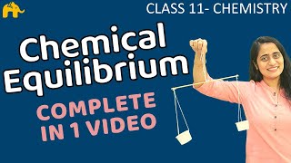 Equilibrium Chemistry Class 11 | Chapter 7 Chemical Equilibrium One Shot | CBSE NEET JEE