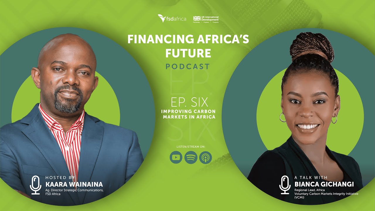 Improving carbon markets in Africa | Financing Africa’s Future podcast