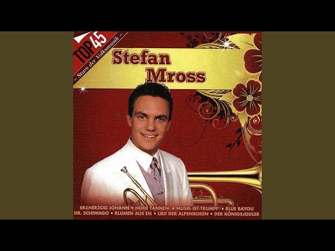 Der Fremdenlegionär