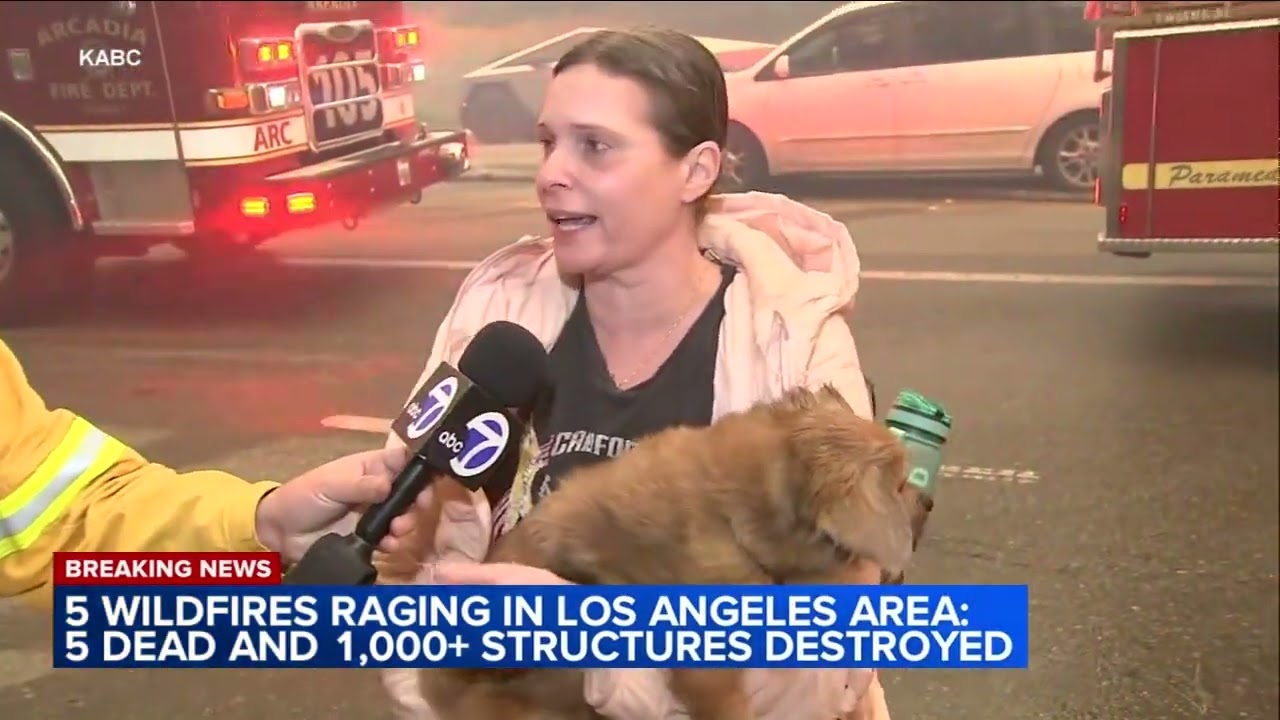 5 confirmed dead, 1,000 stuctures destroyed as 5 wildfires rage in Los Angeles area