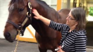 Tours of two Paris KY horse farms