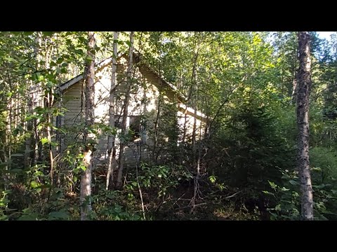Urbex Pieni värikäs pirtti keskellä pusikkoa..😃..