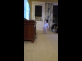 Delani Little Einsteins 11 30 2015