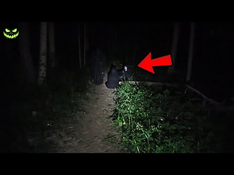 Never Go Alone into the Forest... 5 Moments of Pure Terror in the Woods!