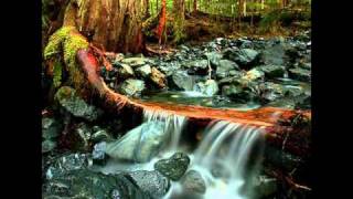 Dreamsville- Mark Gorbulew