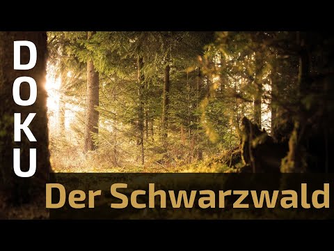 Black Forest (Schwarzwald Dokumentation, Naturfilme Deutschland, Natur Doku HD, ganzer Film Deutsch)