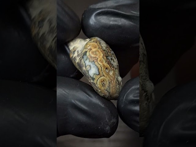 حجر عقيق داؤدي خام تحفة للاقتناء او الاهداء