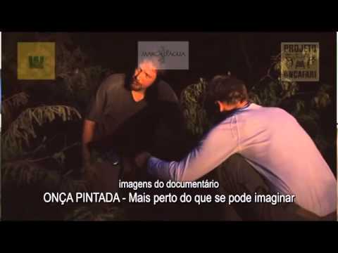 Trailers Onça Pintada - Mais Perto Do Que Se Pode Imaginar