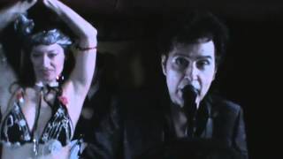 tav falco oh how she dances