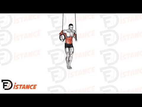 Exercice Muscle Up