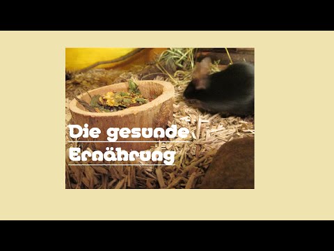 Aller über die Erkrankung gribkow auf den Beinen Wenn man die Tabletten bei gribke der Nägel trinken muss
