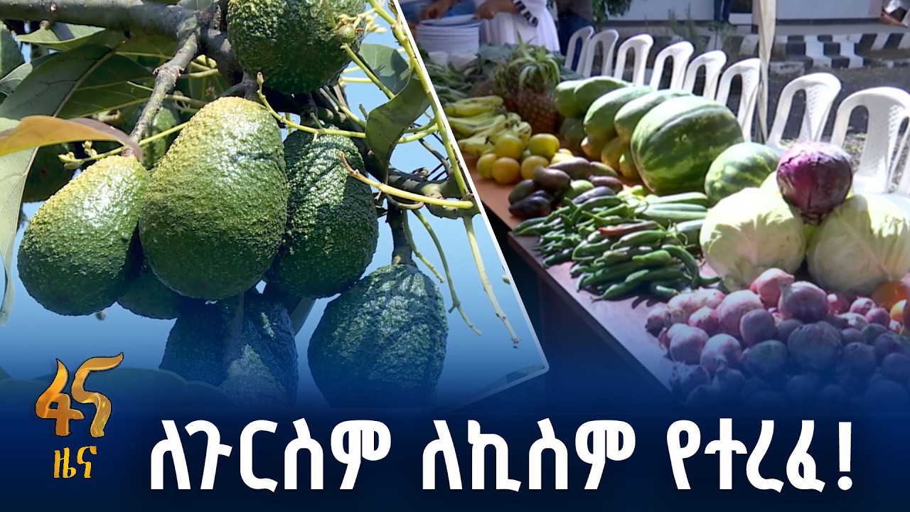 አካባቢ ጥበቃ ሥራ ወደ ተጨባጭ የምግብ ዋስትና
