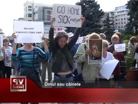 Omul sau câinele