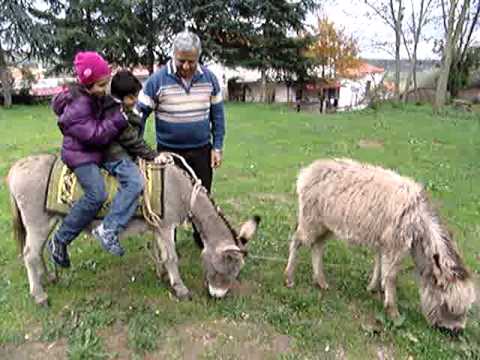 Marika e Mattia sull'asinello di Angelo Accareddu a Ortu Mannu