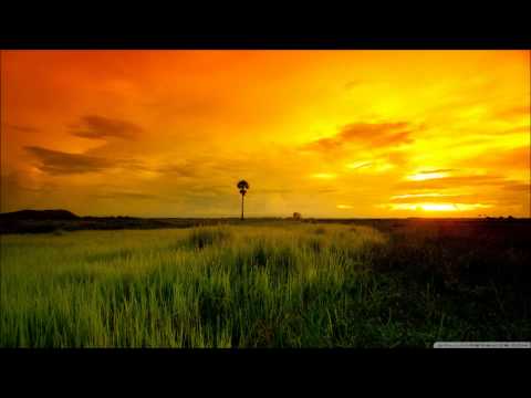 download lagu mp3 mp4 Lies Trifonic Lyrics, download lagu Lies Trifonic Lyrics gratis, unduh video klip Lies Trifonic Lyrics