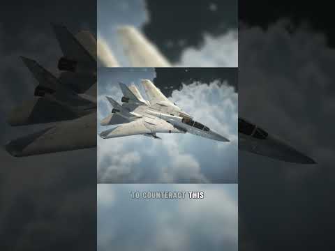 The PROBLEM with the F14 tomcat