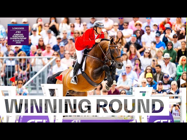 Father of this Implanted Embryo is the CSI 1.70m jumping Stallion United Touch S with rider Richard Vogel.