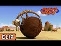 Oscar S Oasis Coconut Run HQ Funny Cartoons